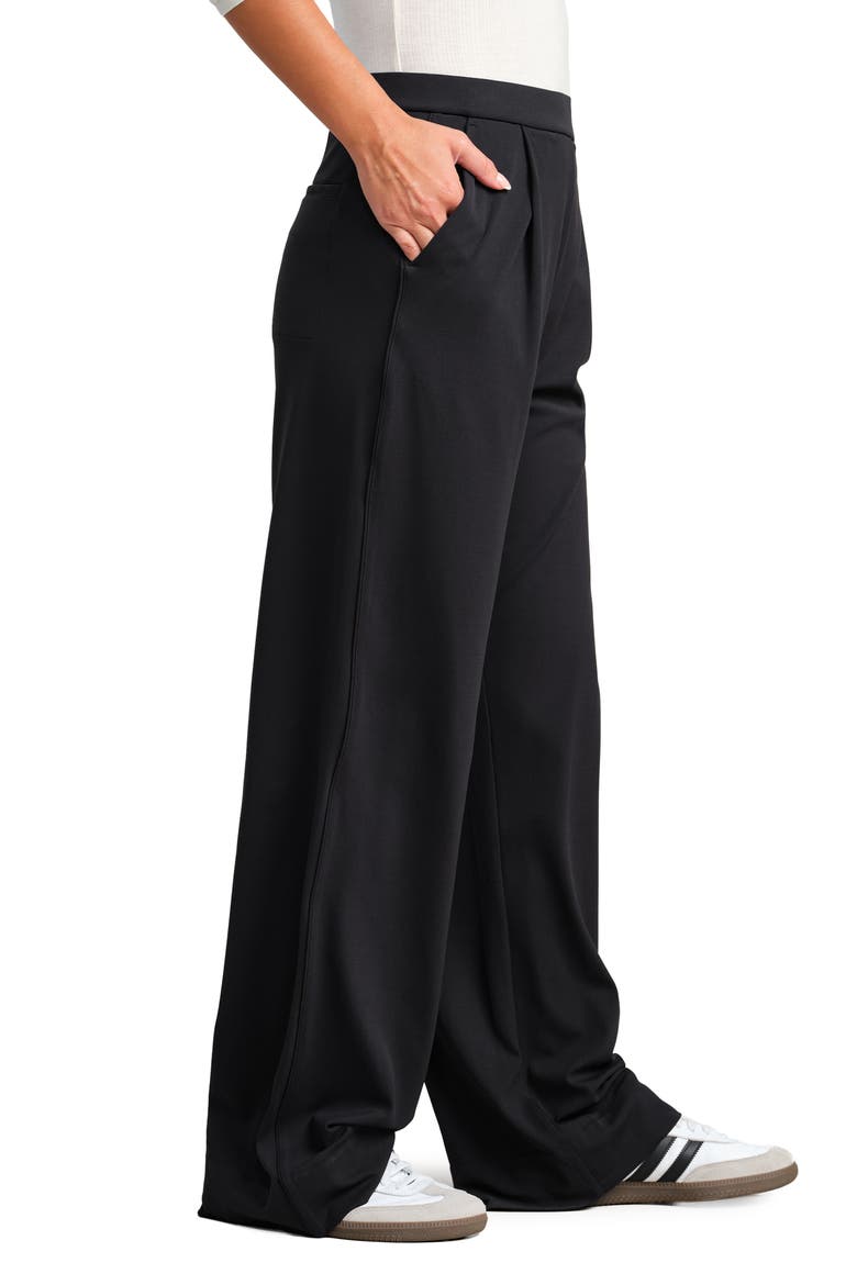 Revive Pleated Wide Leg Pants, Alternate, color, PURE BLACK