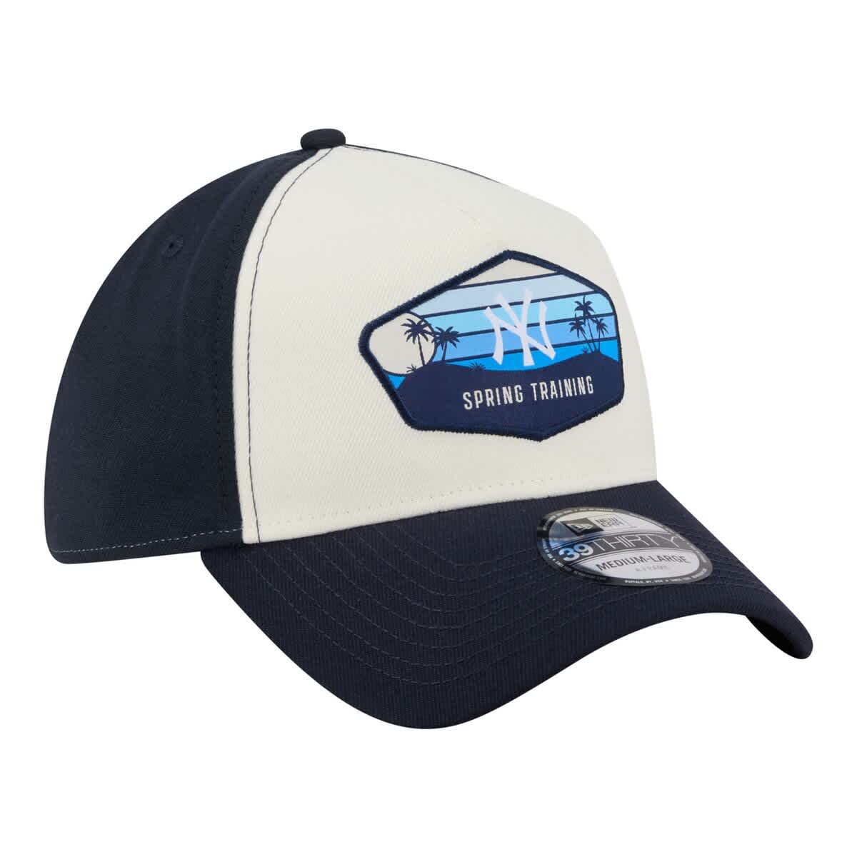 New Era Men's New Era Stone New York Yankees 2026 Spring Training Fan ...