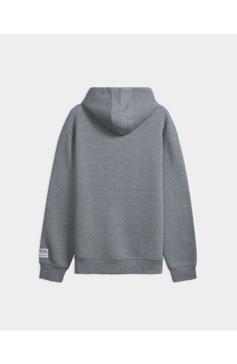 ECKO Legacy Hoodie, Alternate, color, Heather Grey