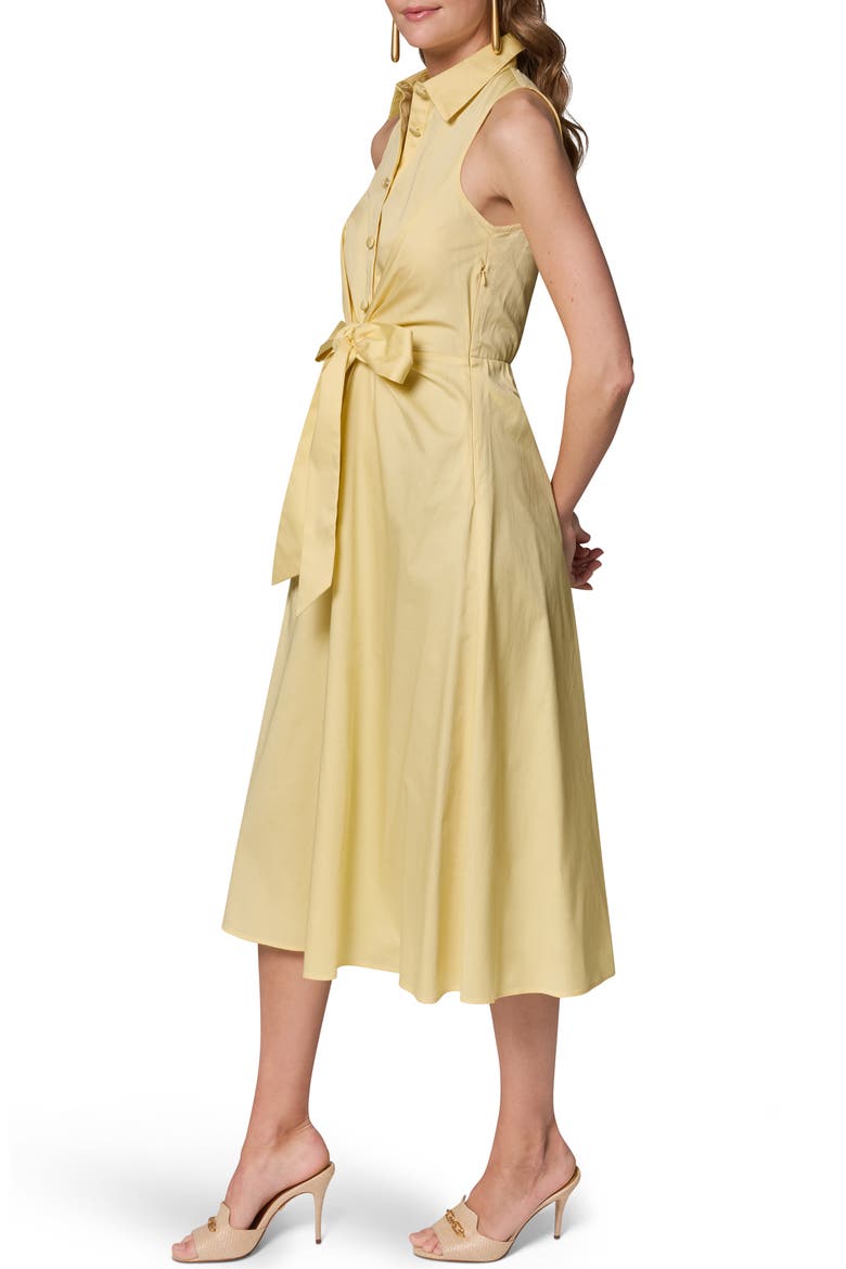 Sleeveless A-Line Midi Dress, Alternate, color, PANNA COTT