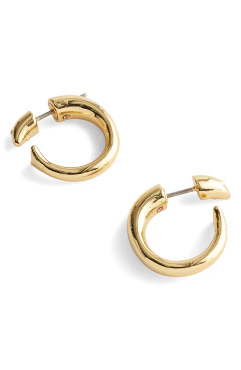Fish Split Hoop Earrings