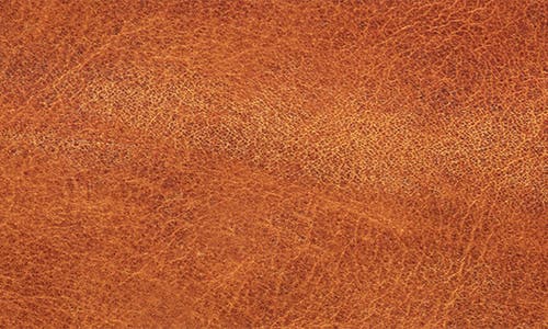 Will Leather Goods The Magnate Leather Bifold Wallet In Brown