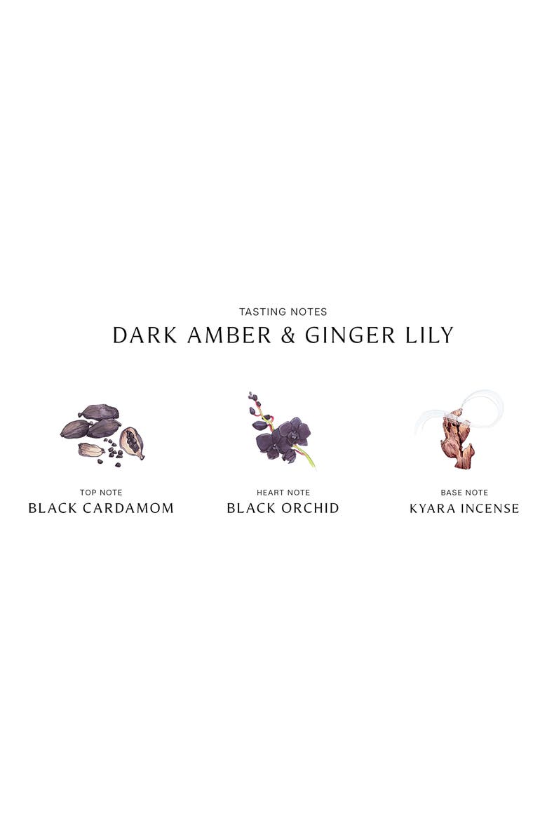 Dark Amber & Ginger Lily Cologne Intense, Alternate, color, NO COLOR