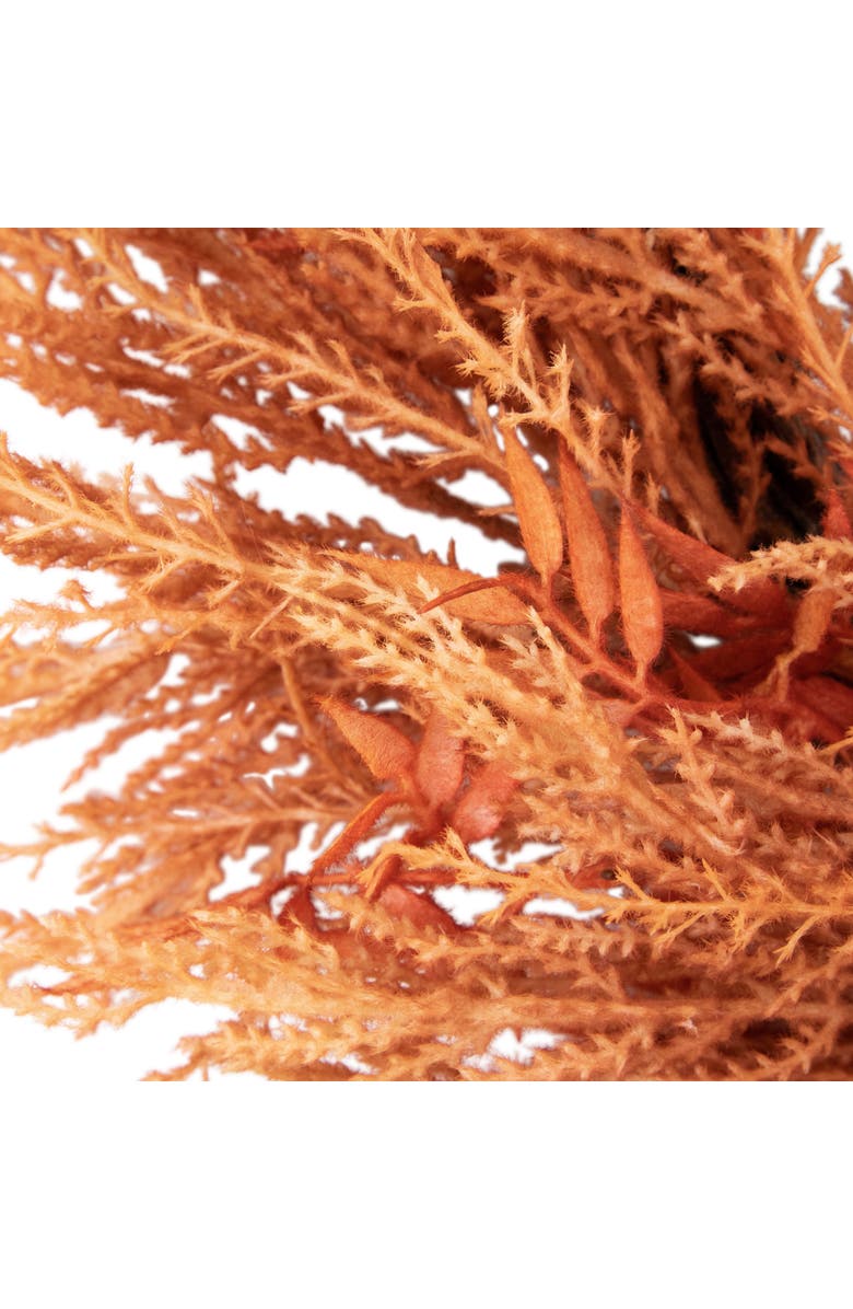 Northlight Peachy Pampas Grass Artificial Fall Harvest Wreath, 24-Inch - Unlit, Alternate, color, Pink