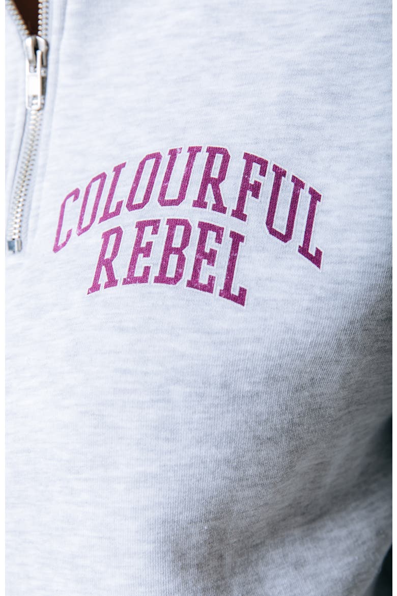 Varsity Logo Relaxed Zip Sweat, Alternate, color, Light grey melange
