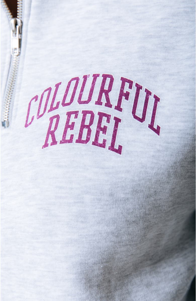 Colourful Rebel Varsity Logo Relaxed Zip Sweat, Alternate, color, Light/Pastel Grey