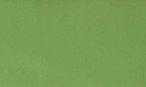Sandy Liang Quill Jersey Top In Lime