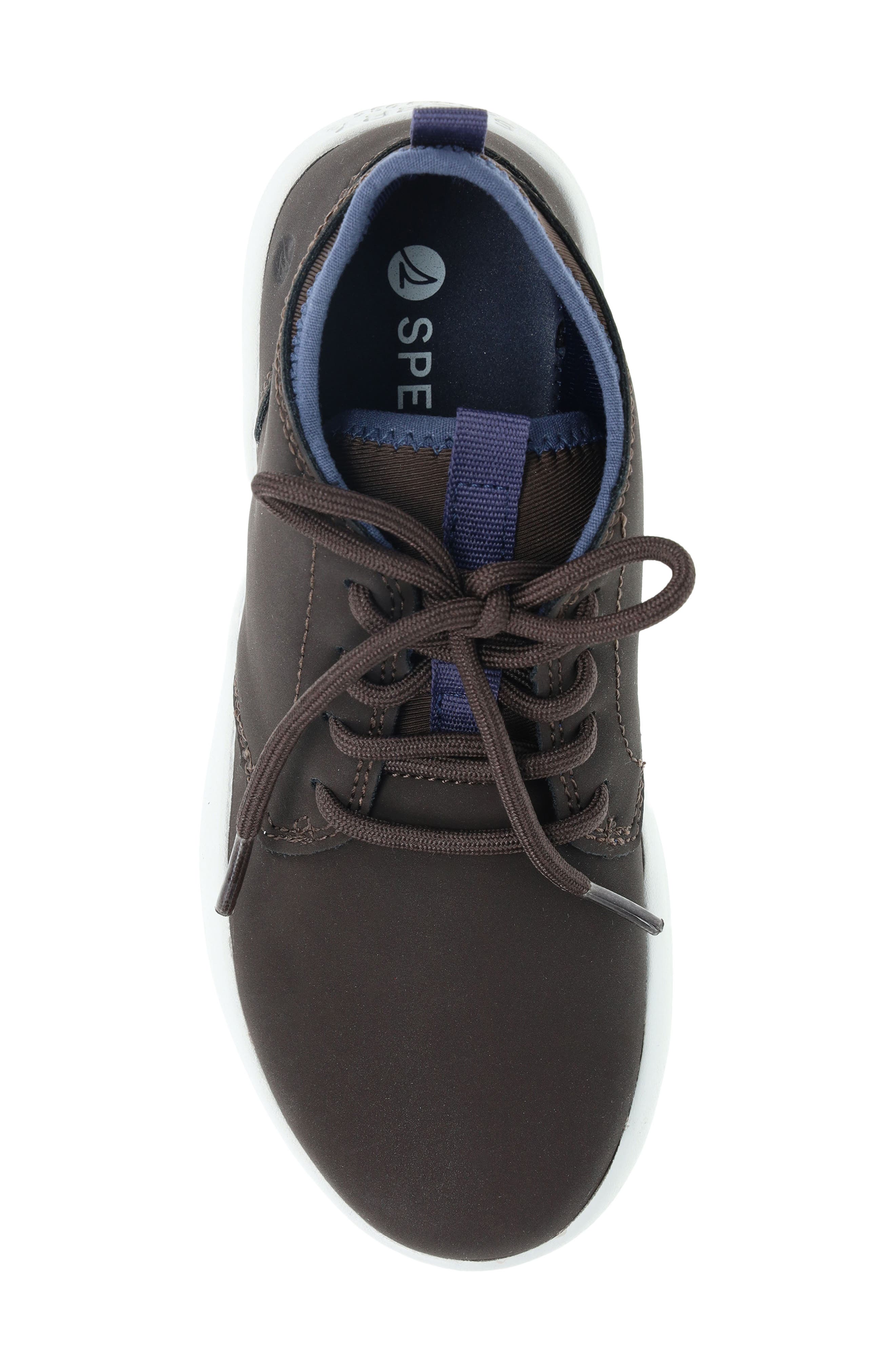 Sperry Kids' Coastal Break Chukka, Alternate, color, Chocolate