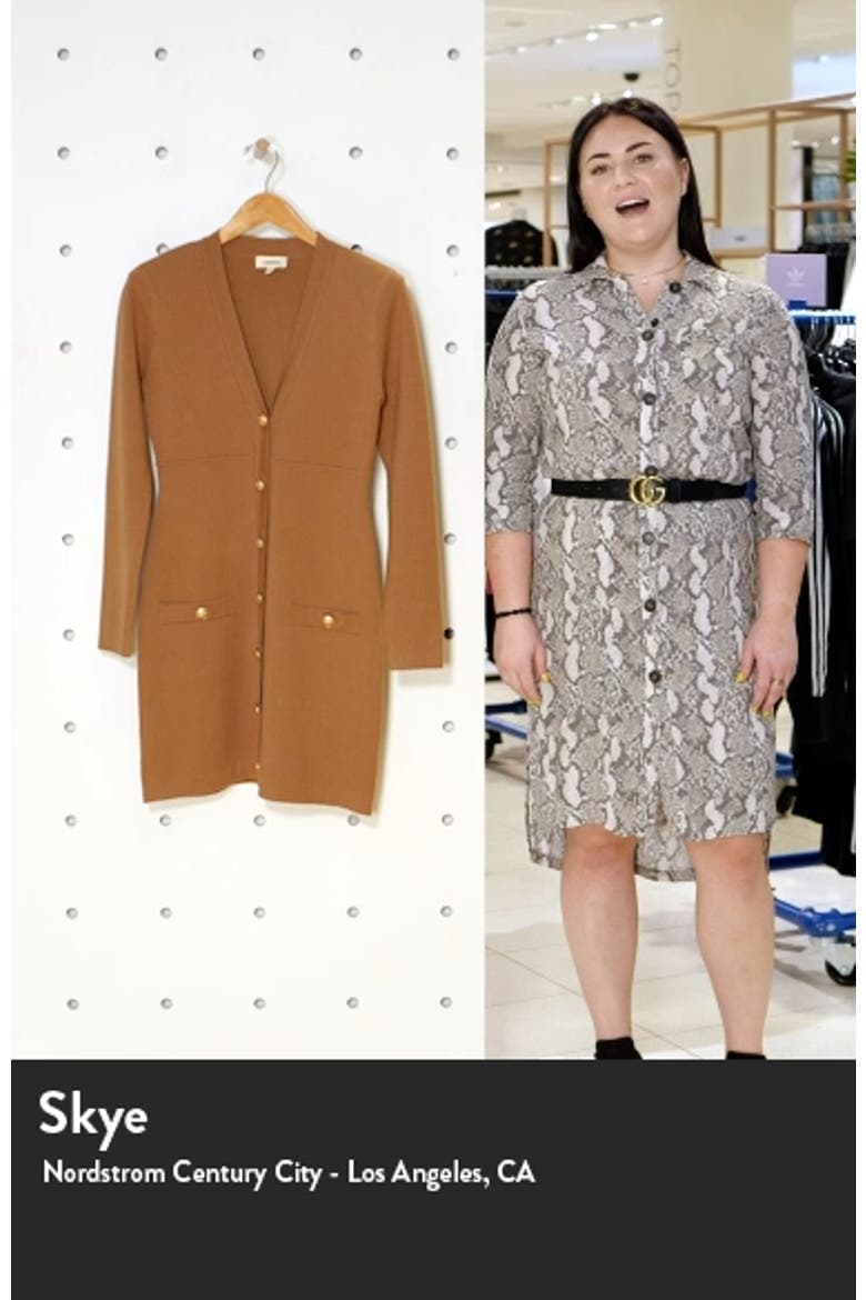 Breanna V-Neck Long Sleeve Minidress video