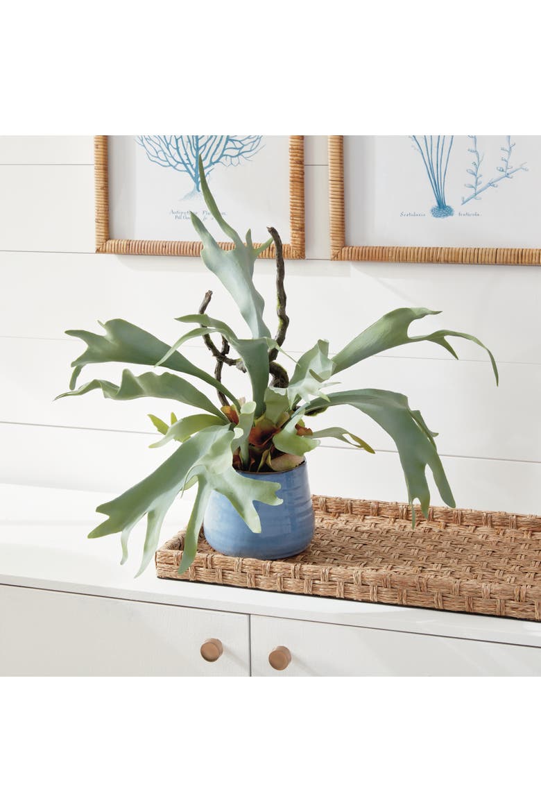 Staghorn Fern Drop-In 22", Alternate, color, Green