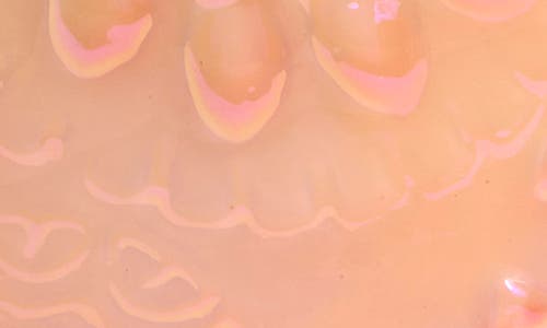 Portofino Candles Coral Iridescent Jumbo Garden Jar Candle Guava Pink Grapefruit In Pink Luster
