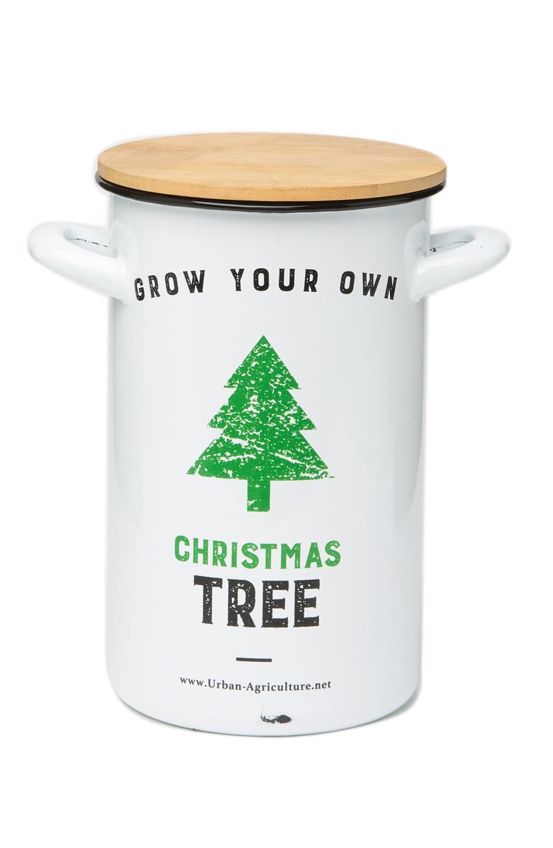 The Urban Agriculture Co. Live Christmas Tree Seeds in a Tin Kit, Main, color,