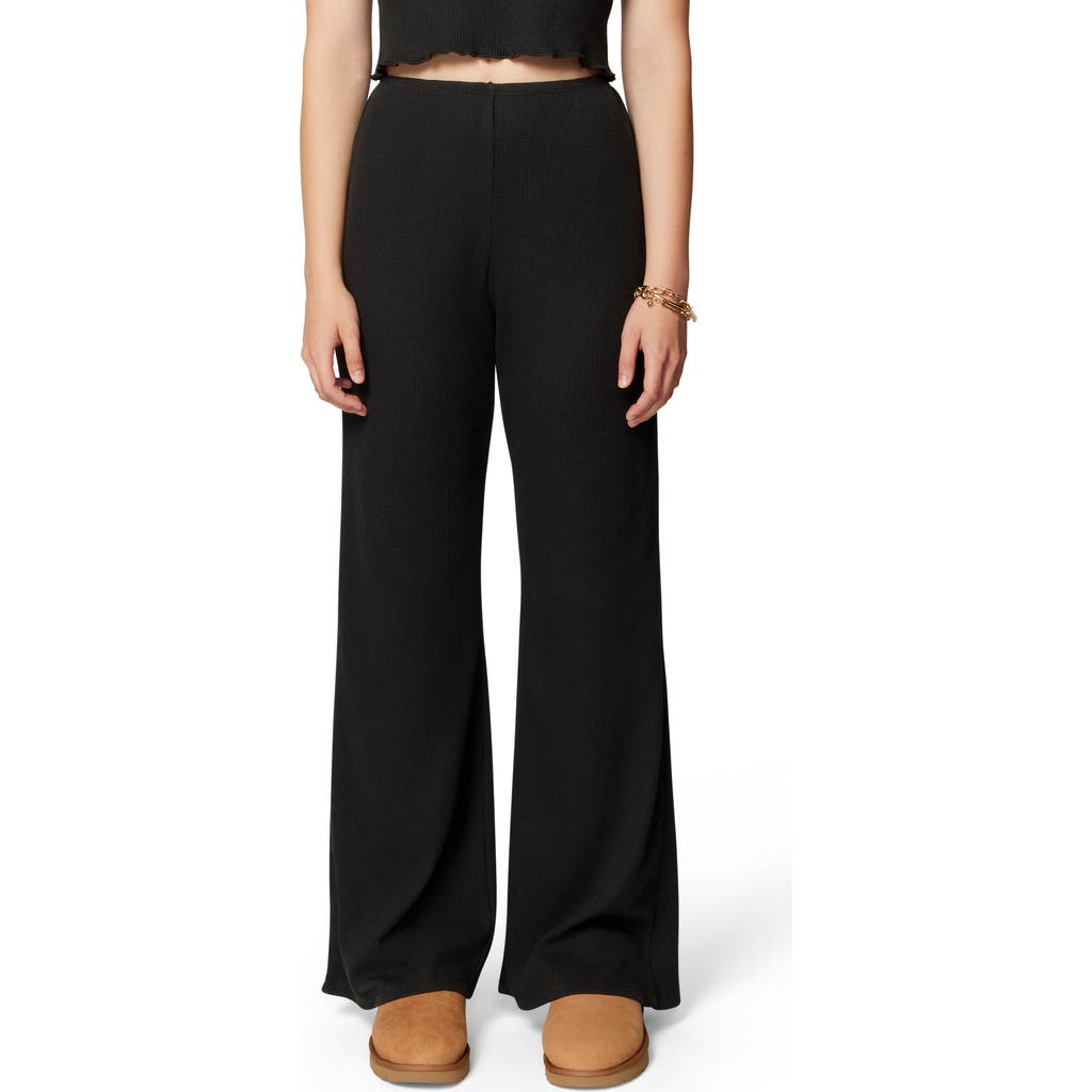 Florence By Mills Micro Thermal Wide Leg Pants In Black
