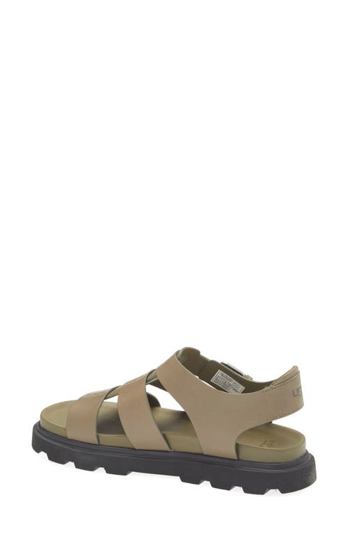 Shop Ugg ® Capitelle Fisherman Sandal In Burnt Olive