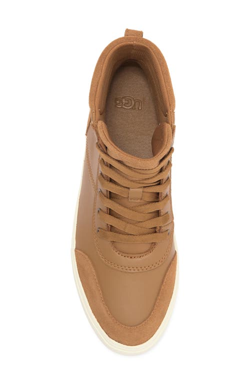 UGG UGG® ZILO HIGH TOP SNEAKER 