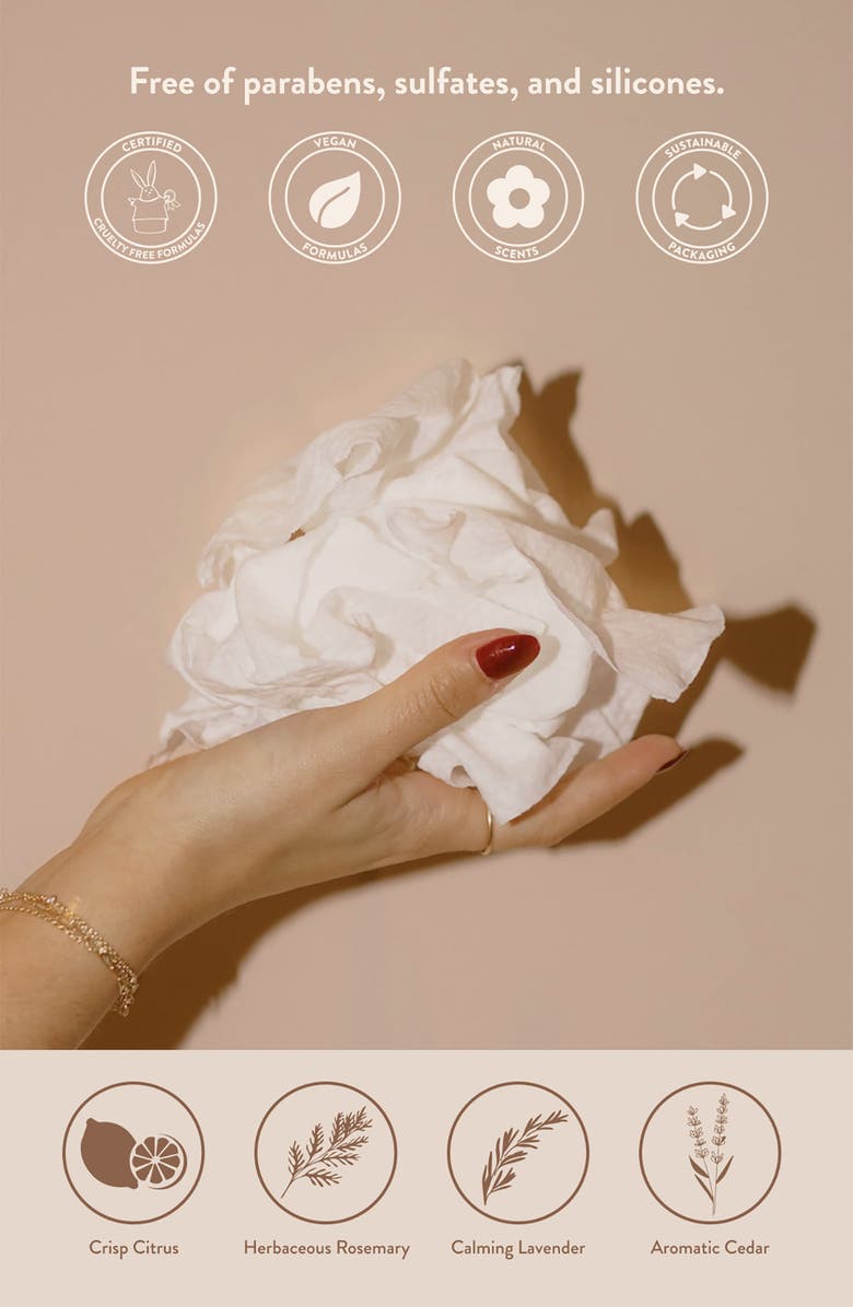 PAUME Cleansing Hand & Body Wipes, Alternate, color,
