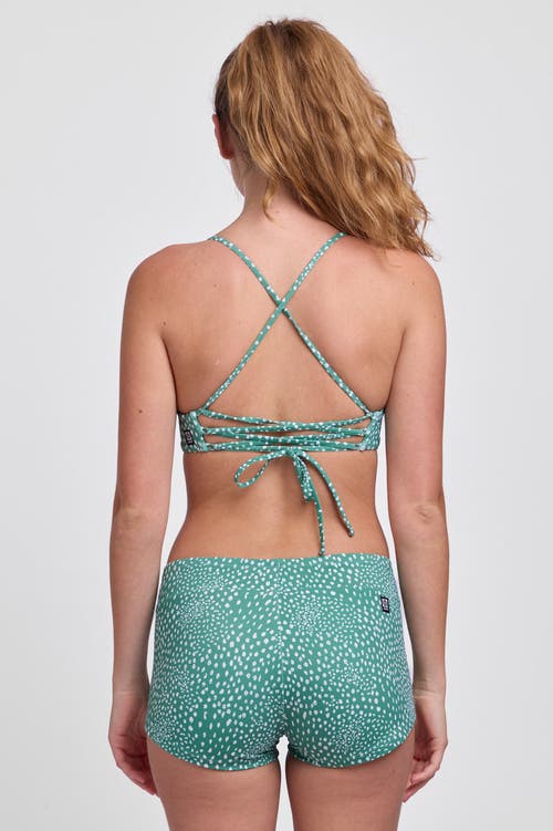 Shop Jolyn Piha Surf Short