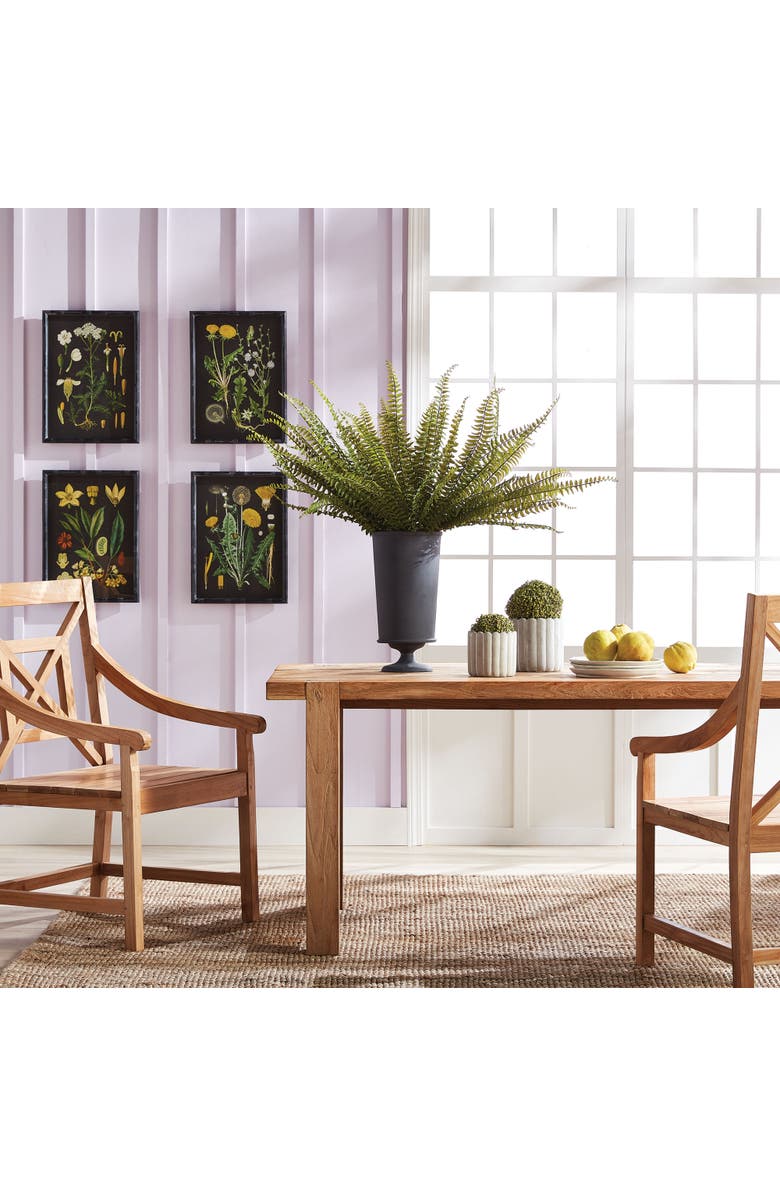 Napa Home & Garden Golden Botanical Study Set of 4, Alternate, color, Black