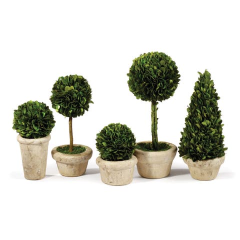 Boxwood Topiaries Faux (Fake) In Pots Set of 5
