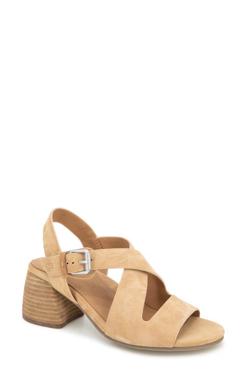 Gentle Souls Mela Crisscross Sandal In Brown