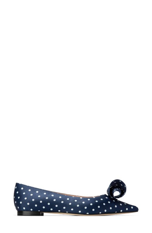 Cole Haan Florette Pointed Toe Skimmer Flat In Blue