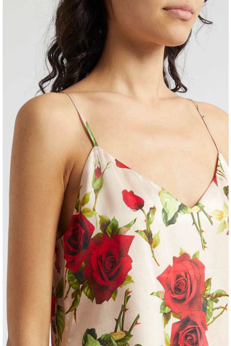 Jane Rose Print Silk Camisole, Alternate, color, SANDRED R