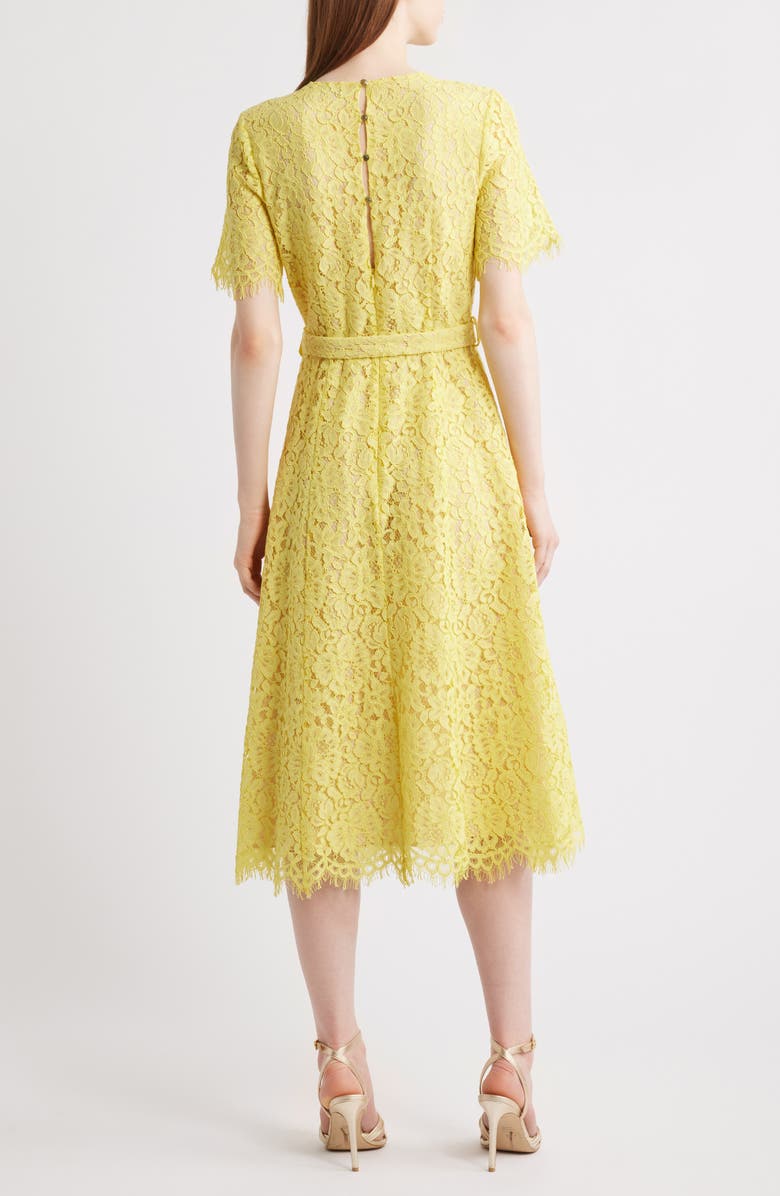 Elie Tahari The Lex Sunshine Lace Dress, Alternate, color, 