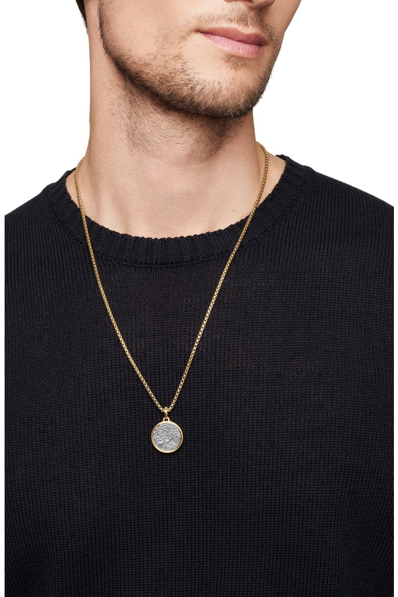 Life & Death Duality Amulet in Sterling Silver with 18K Yellow Gold, Alternate, color, STERLING SILVER WITH 18K GOLD