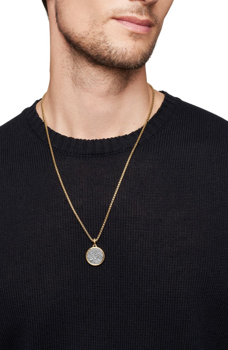 David Yurman Life & Death Duality Amulet in Sterling Silver with 18K Yellow Gold, Alternate, color, Sterling Silver With 18K Gold