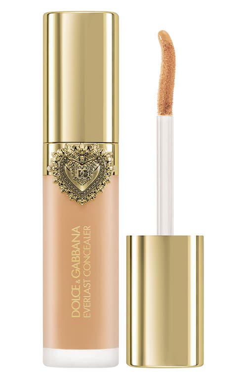 Dolce & Gabbana Dolce&gabbana Everlast Concealer