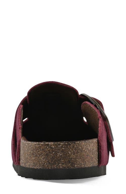 Cliffs By White Mountain Big Easy Buckle Mule In Multi