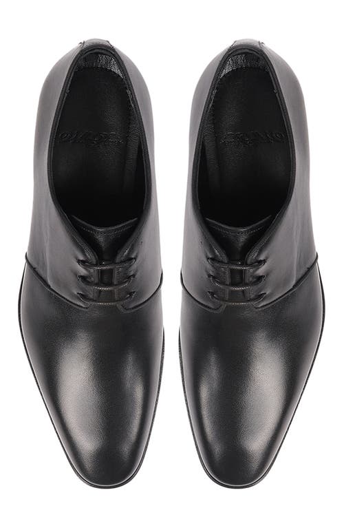Vellapais Costa Plain Toe Derby In Black