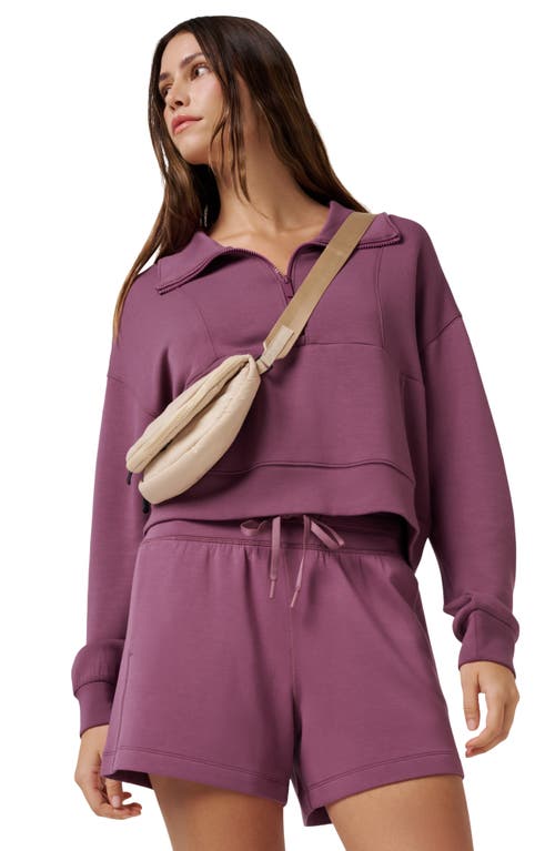 Travismathew Skyloft Half Zip Top In Purple
