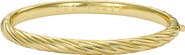 Ted Baker Melissa Metal Twist Hinged Bangle