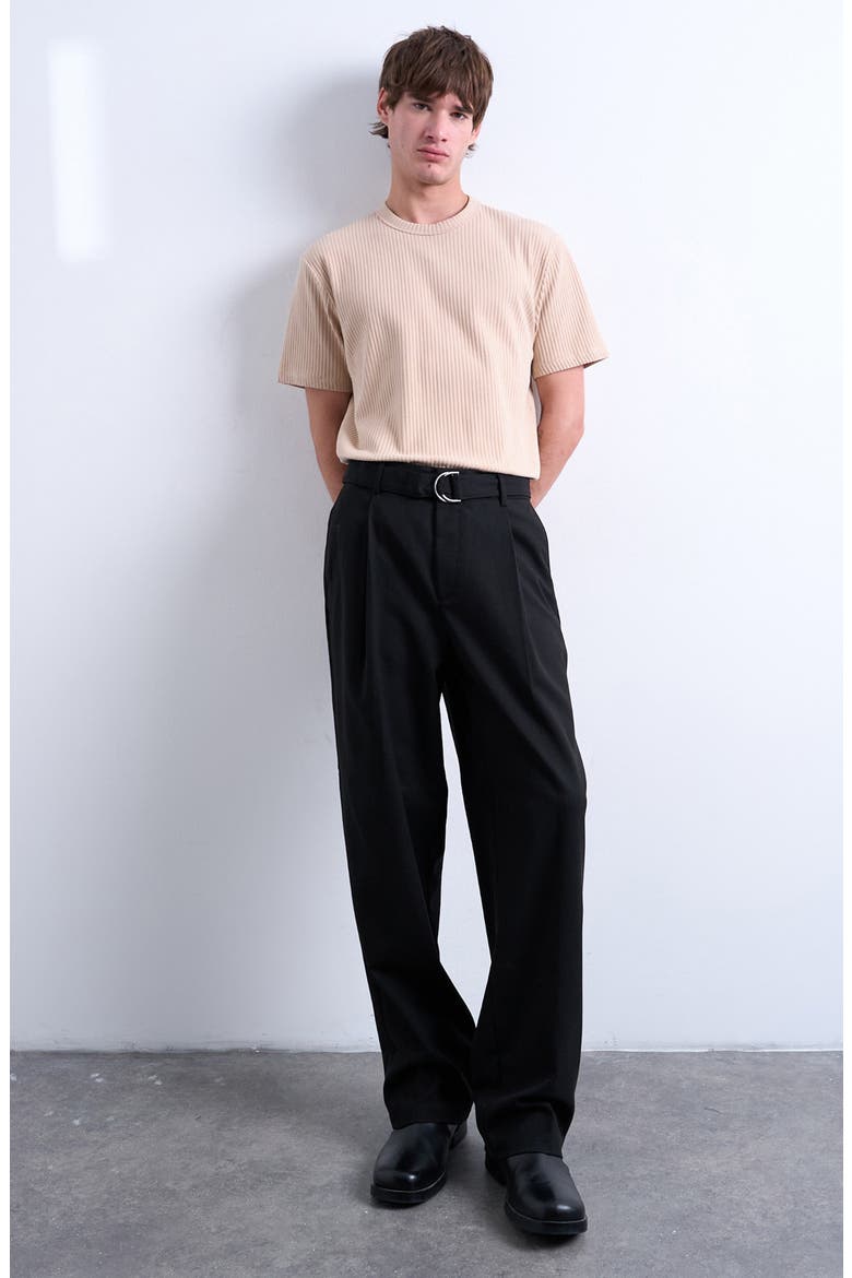 Heavyweight Rib T-Shirt, Alternate, color, CAMEL