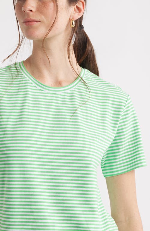 Caslon ® Stripe Crop T-shirt In Multi