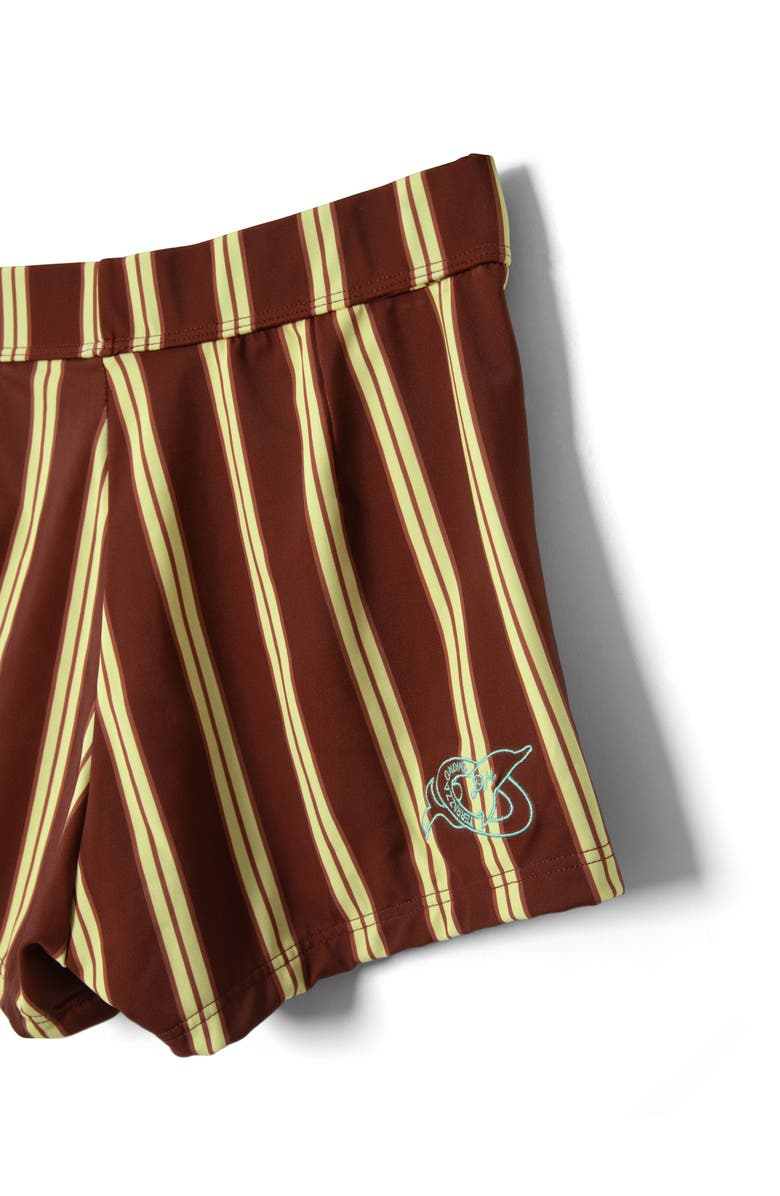 Damson Madder Trudi Swim Shorts, Alternate, color, Brown