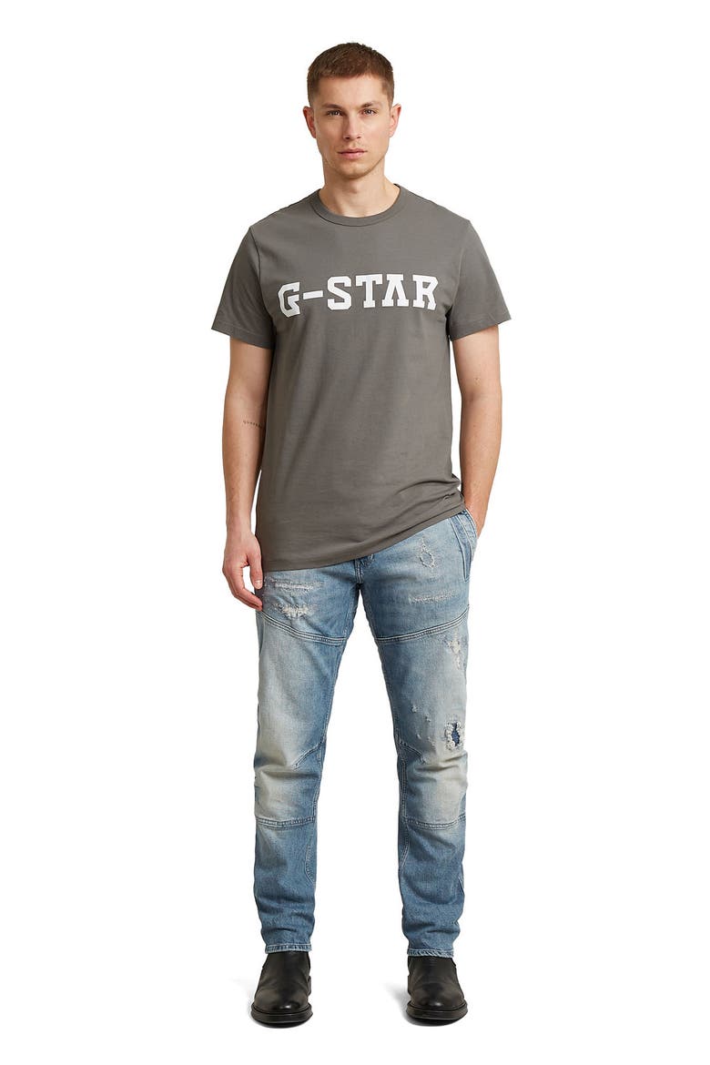 Logo Organic Cotton Graphic T-Shirt, Alternate, color, GREY