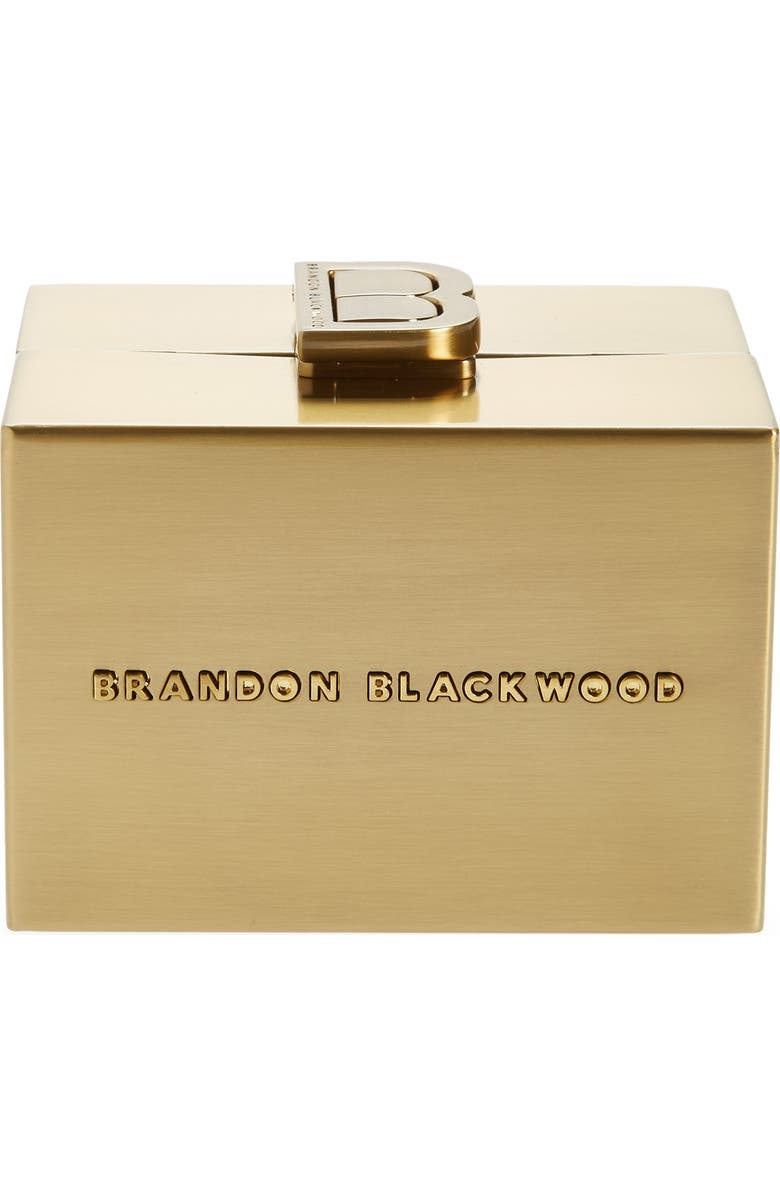Brandon Blackwood Mini Metal Minaudière, Main, color,