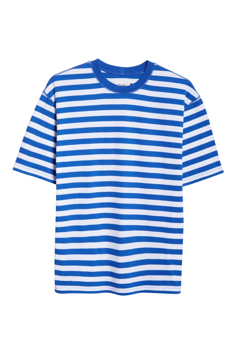 Stripe Cotton Hiking T-Shirt, Alternate, color, NAVY AND WHITE
