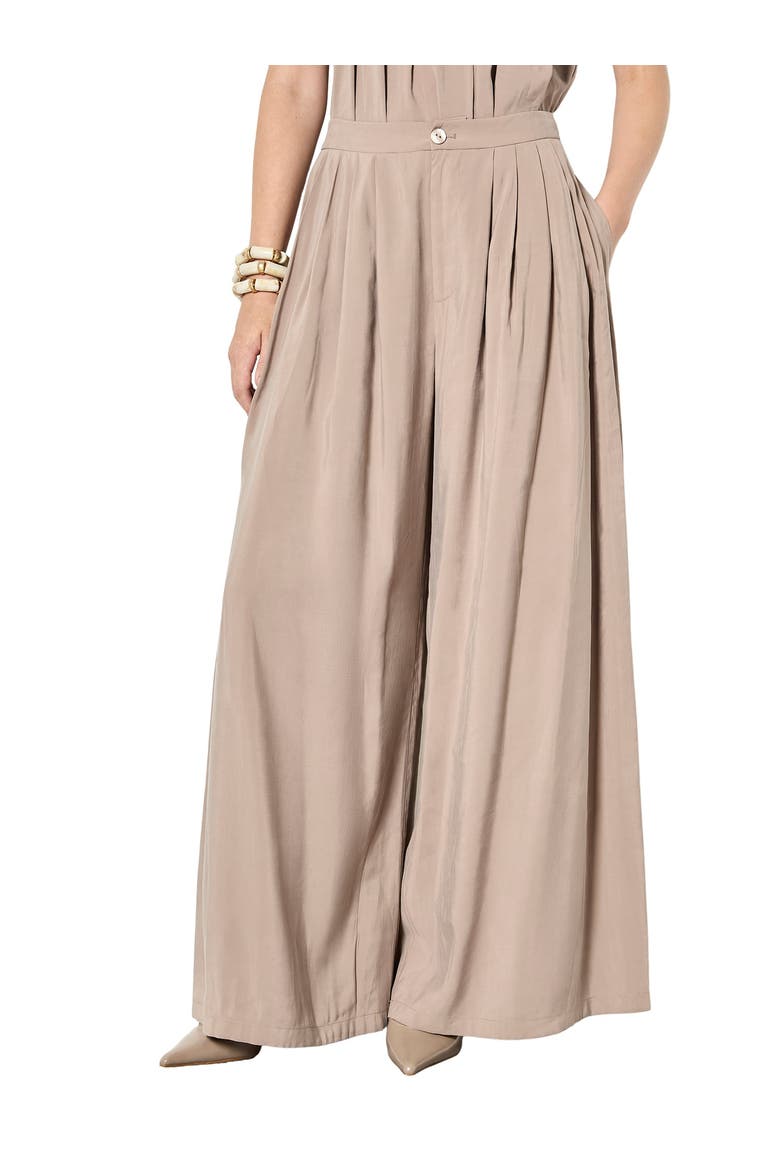 Pleat Detail Super Wide Trouser, Main, color, Stone