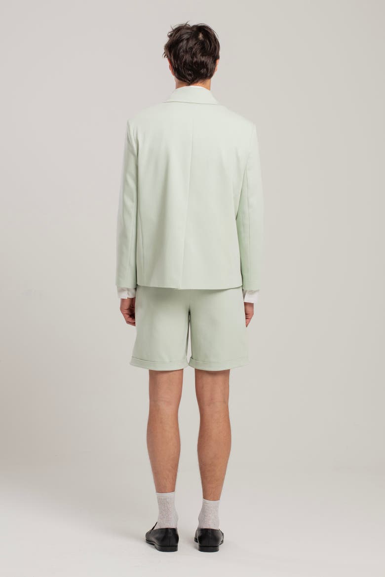 Free Heaven Oversized Blazer, Alternate, color, Light Green