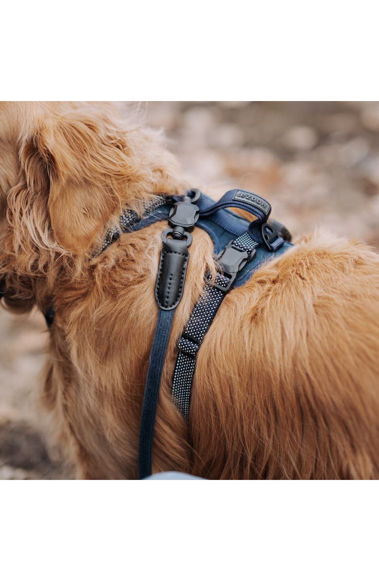 HOOZA Rope Dog Leash 1 Inch x 5 Feet, Alternate, color, Blue