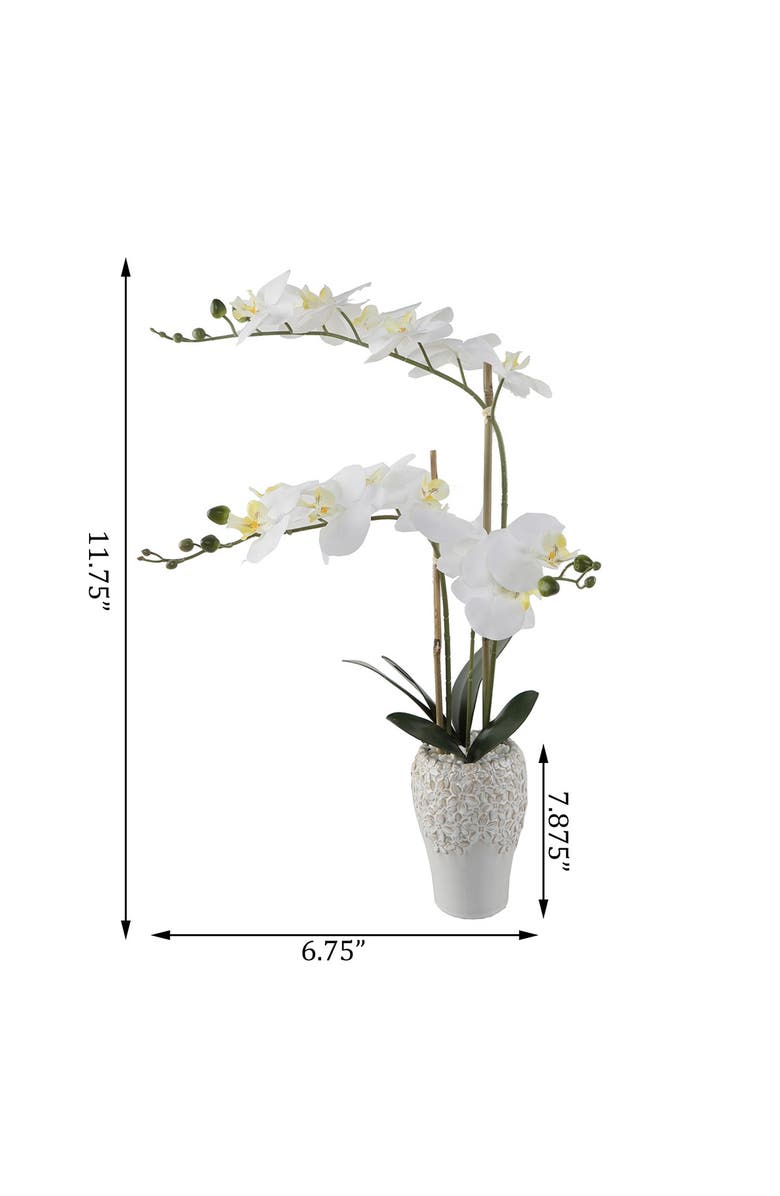 FLORA BUNDA Real-touch Orchid in Ceramic Vase, Alternate, color, 
