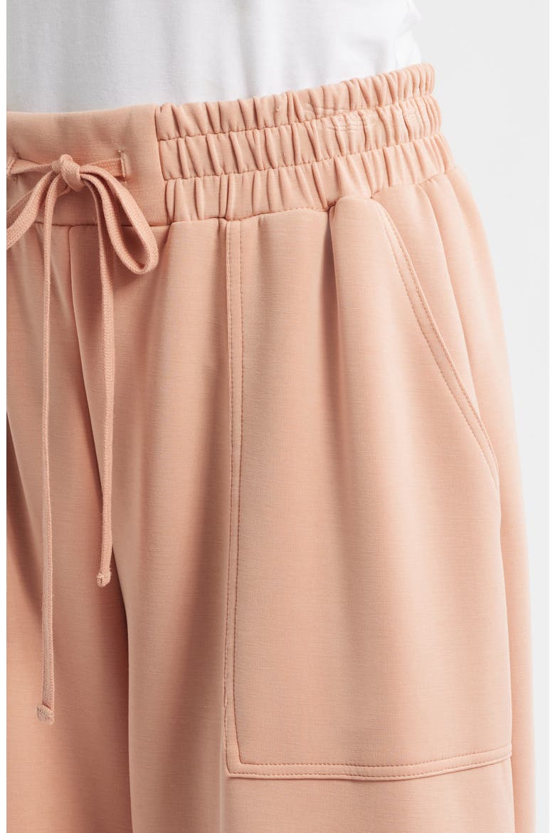 Crop Drawstring Pants, Alternate, color, CONCH
