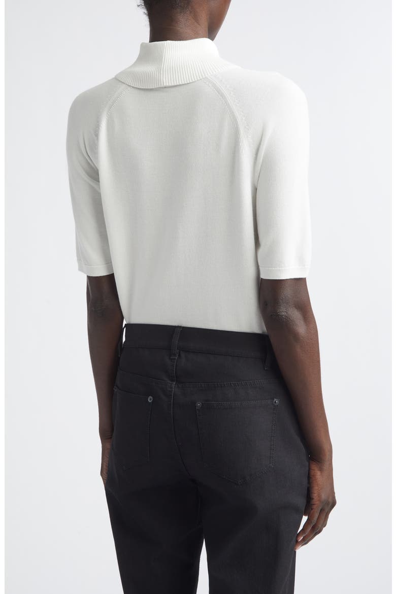 Raglan Sleeve Turtleneck Sweater, Alternate, color, CLOUD