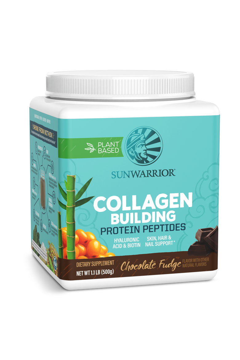Collagen Building Protein Peptides Powder, Chocolate Fudge, 500gm, Main, color, No Color
