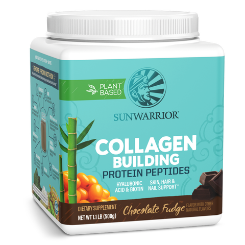 Collagen Building Protein Peptides Powder, Chocolate Fudge, 500gm