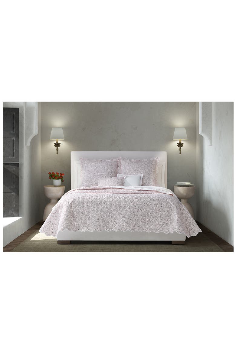 Celine Sham, Alternate, color, REDBERRY