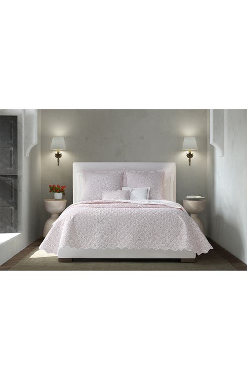 Matouk Celine 500 Thread Count Percale Fitted Sheet